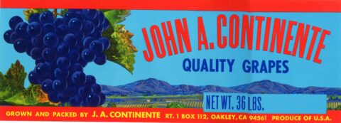 John A. Continente